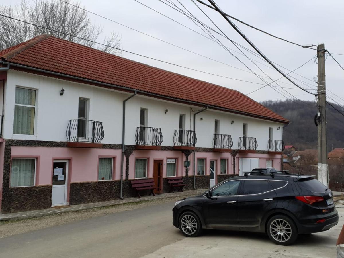 Pensiunea Lucica Sacelu Exterior photo
