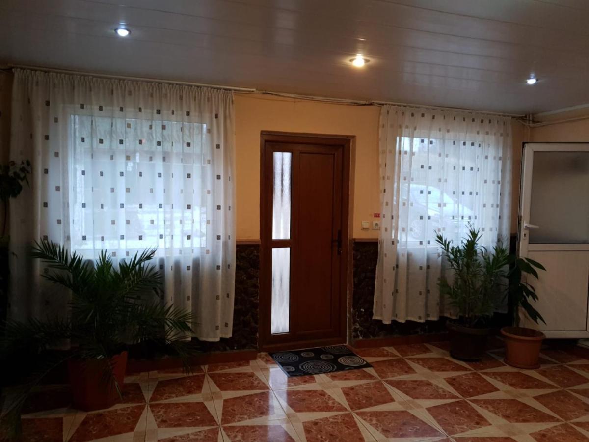 Pensiunea Lucica Sacelu Exterior photo