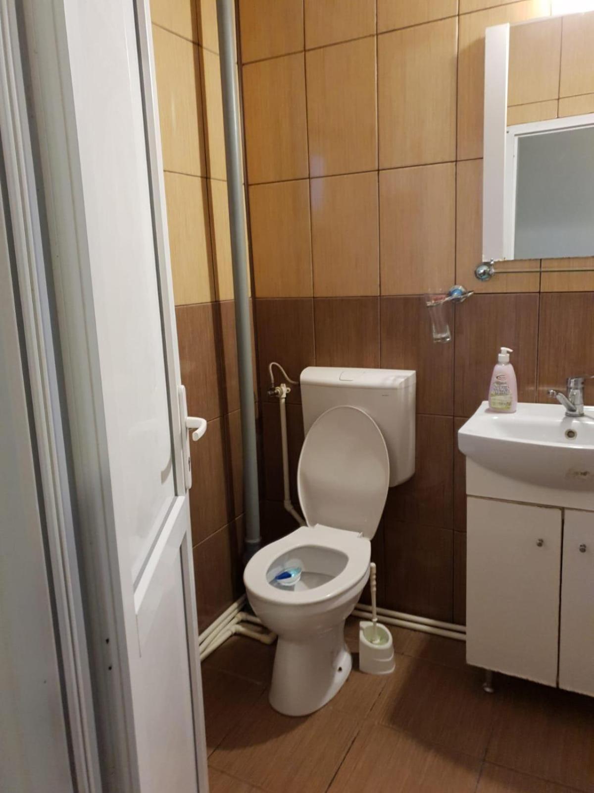 Pensiunea Lucica Sacelu Room photo